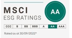 MSCI AA